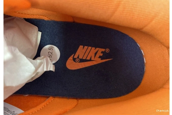 (2020) Nike Low Dunk Colors Champ  CU1727-800 1120